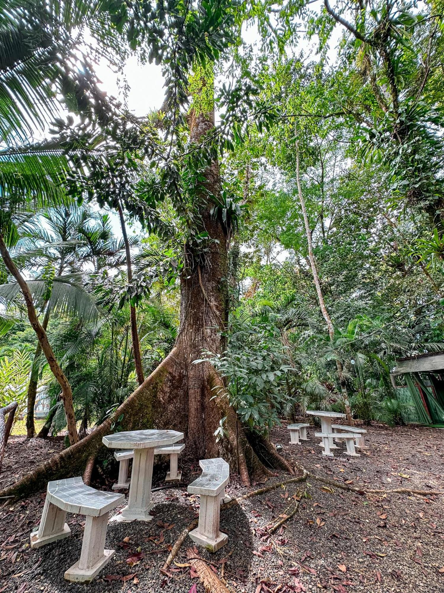 Cabanas Rio Escondido En Ла Фортуна Экстерьер фото