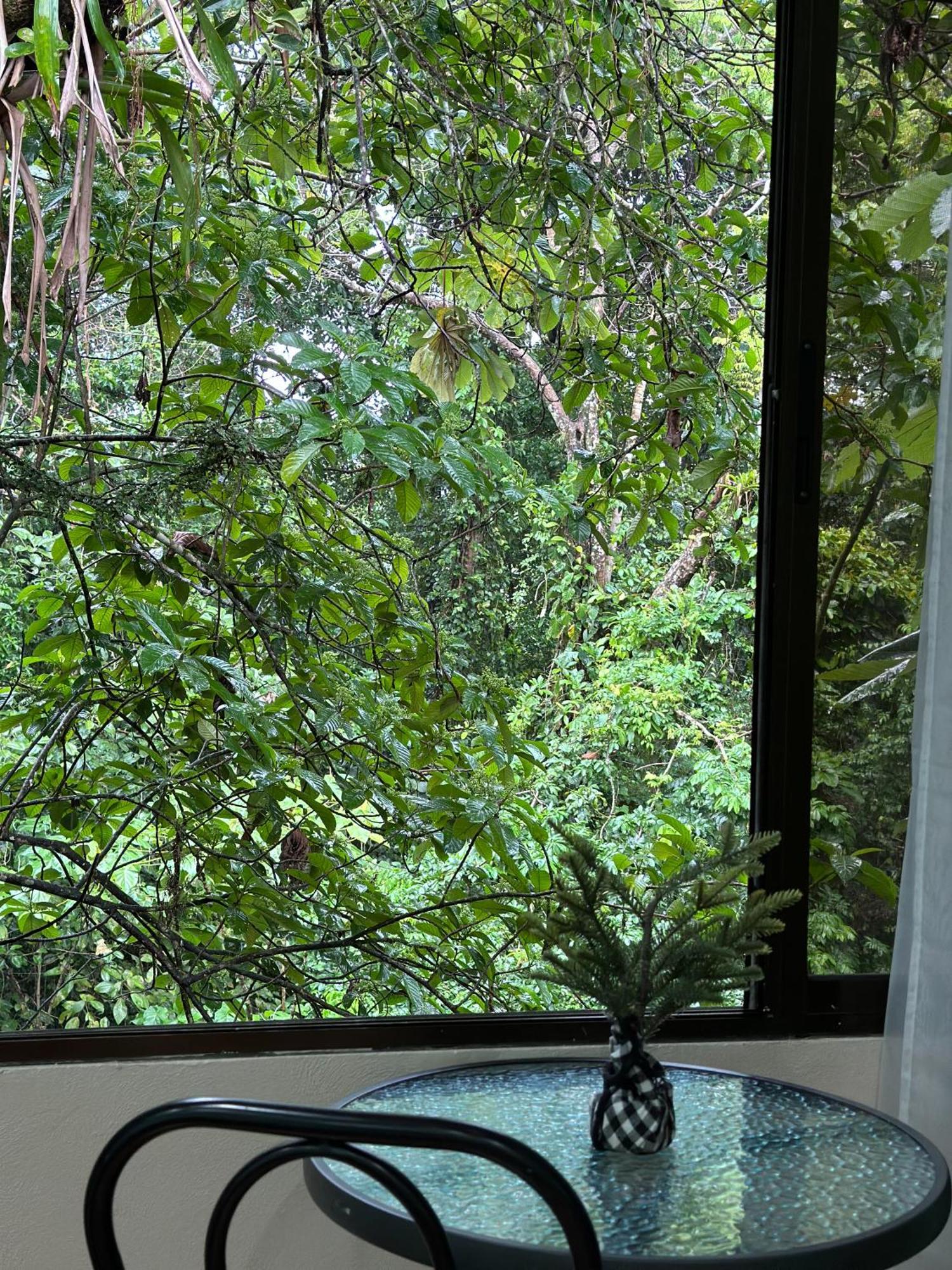 Cabanas Rio Escondido En Ла Фортуна Экстерьер фото